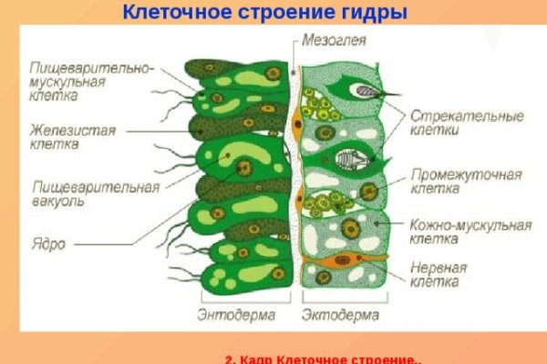 Kraken зеркало тор ссылка