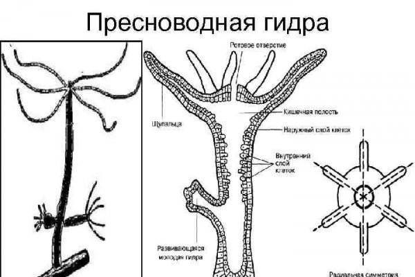 Кракен клирнет ссылка